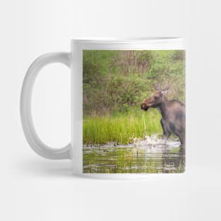 Young Moose running in the water Mug